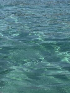 mare