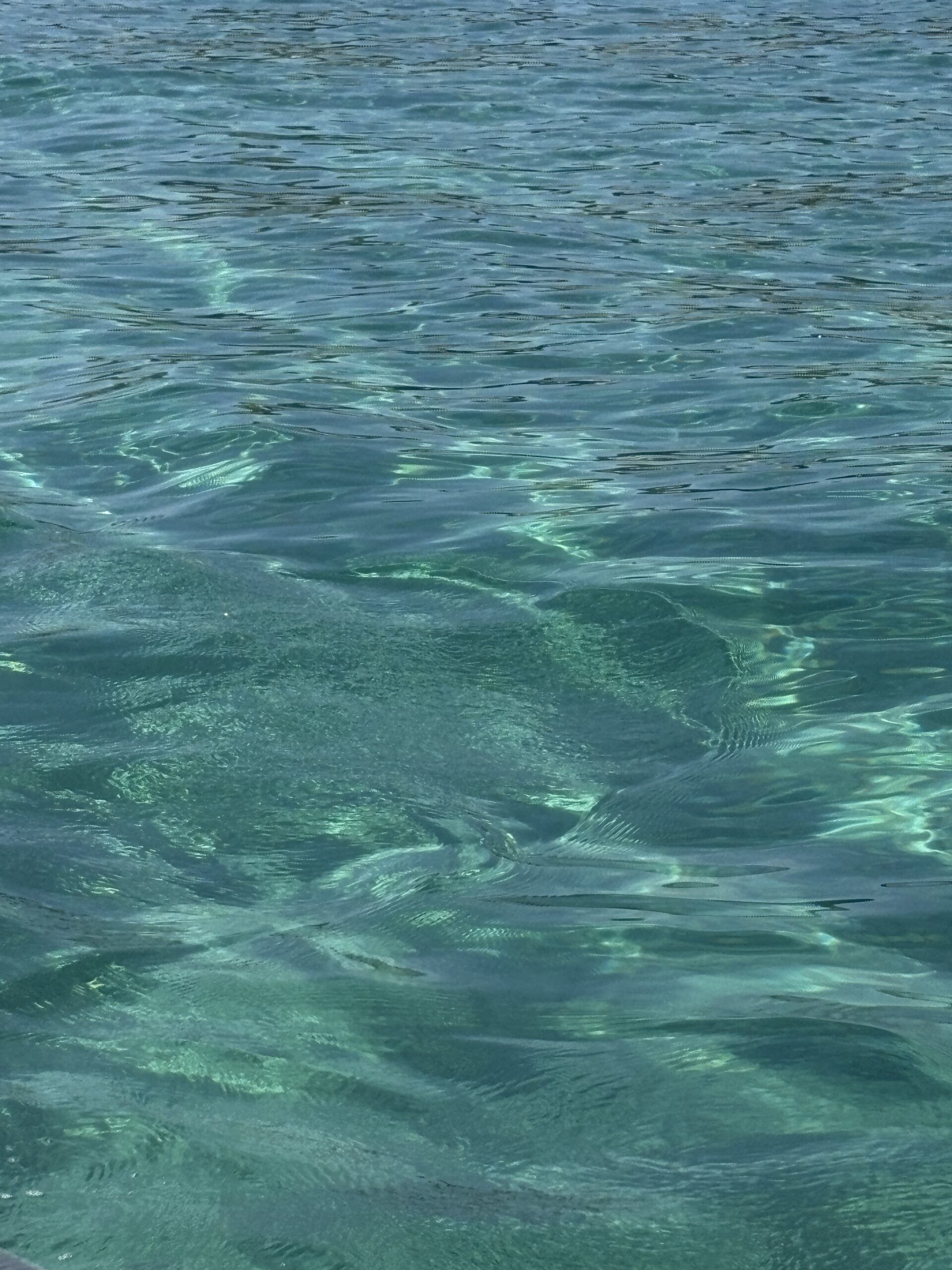 mare